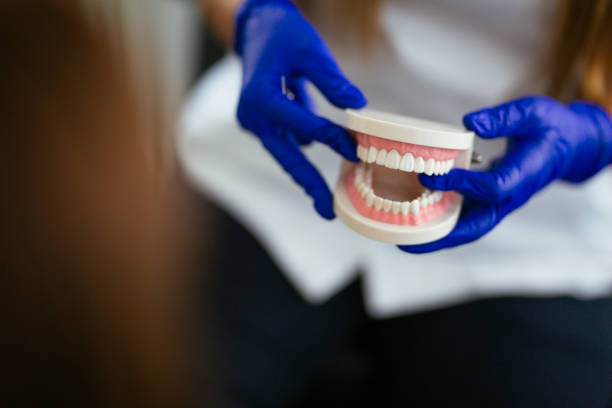 Best Dental Exams and Cleanings  in Chesterton, IN